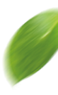default/imagex/folha-dir.png