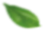 default/imagex/index/localizacao/top.png