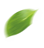 default/imagex/index/projetos/folha-esq.png