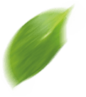 default/imagex/lotes/conheca-dir.png