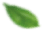 default/imagex/lotes/conheca-esq.png