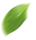 default/imagex/lotes/inve/folha-esq.png