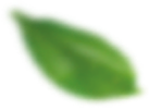 default/imagex/parceiros/dir.png